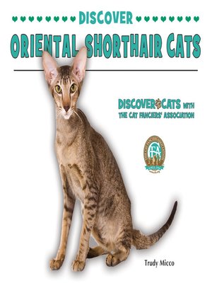 cover image of Discover Oriental Shorthair Cats